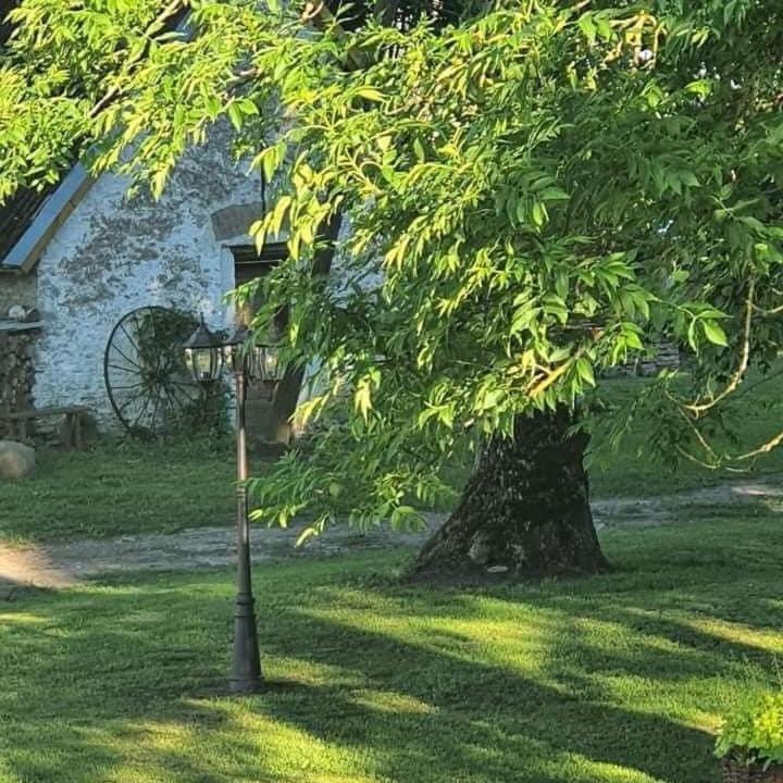 B&B Rando & Kaerdi Juures Oue Luganuse Exterior photo